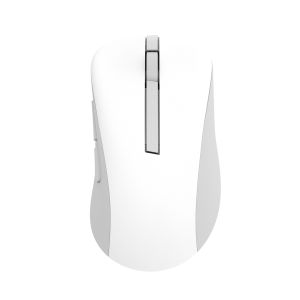 ASUS Wireless Mouse MD102 ratón Universal mano derecha RF Wireless + Bluetooth Óptico 1600 DPI