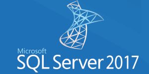 Microsoft SQL Server 2017 1 licencia(s) Educación (EDU) 3 año(s)