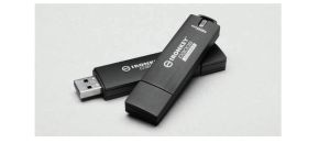 Kingston Technology D300S unidad flash USB 8 GB USB tipo A 3.2 Gen 1 (3.1 Gen 1) Negro