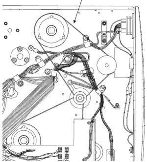Zebra 45189-12 correa para impresora