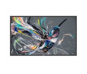 Philips 50BDL3550Q/00 pantalla de señalización Pantalla plana para señalización digital 125,7 cm (49.5") VA 400 cd / m² 4K Ultra HD Negro Android 8.0