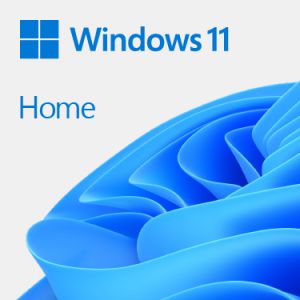 Microsoft Win 11 Home GGK 64Bit Portuguese 1pk DSP ORT OEI DVD Producto empaquetado completo (FPP; full packaged product) 1 licencia(s)