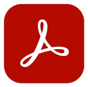 Adobe Acrobat Pro Gobierno (GOV) 1 licencia(s) Suscripción Plurilingüe 1 año(s) 12 mes(es)