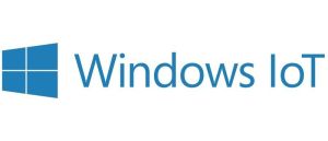 HP Win 10 IoT 2019 Licencia de acceso de cliente (CAL)