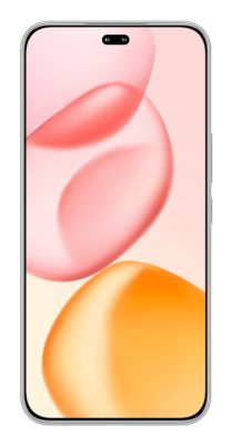 Honor 400 Pro 17 cm (6.7") MagicOS 9.0 5G 12 GB 512 GB 5300 mAh Gris