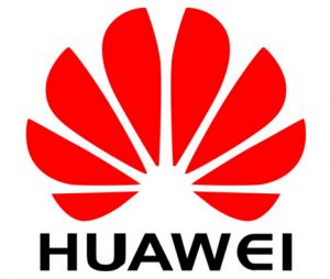 Huawei 88031EFJ licencia y actualización de software 1 licencia(s) Inglés