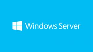 Microsoft Windows Server Standard 2019 1 licencia(s)
