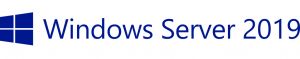 Hewlett Packard Enterprise Microsoft Windows Server 2019 1 licencia(s)