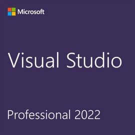 Microsoft Visual Studio Professional 2022 1 licencia(s)
