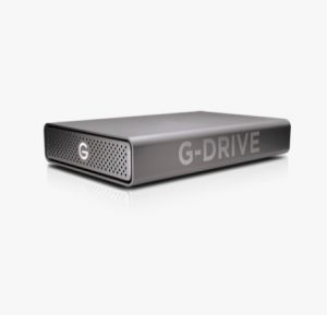 SanDisk G-DRIVE disco duro externo 20000 GB Gris